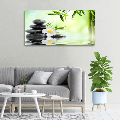 Wandbild Plumeria und Bambus