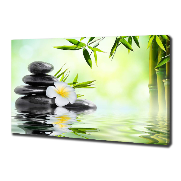 Wandbild Plumeria und Bambus