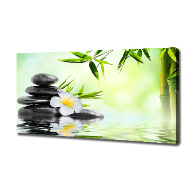 Wandbild Plumeria und Bambus