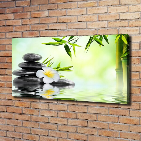 Wandbild Plumeria und Bambus