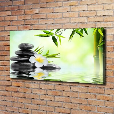 Wandbild Plumeria und Bambus