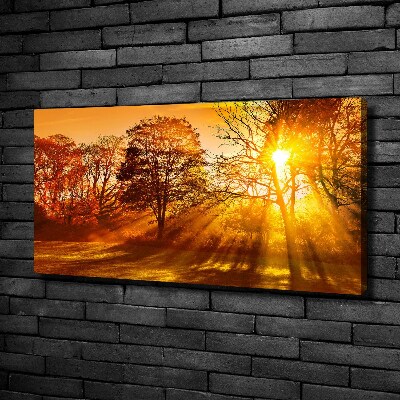 Bild auf leinwand Sonnenuntergang