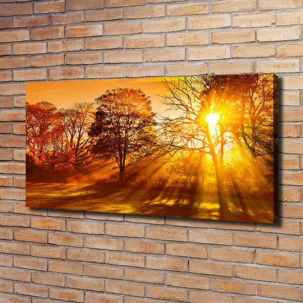 Bild auf leinwand Sonnenuntergang