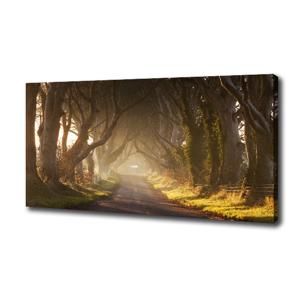 Wandbild Nebel im Wald
