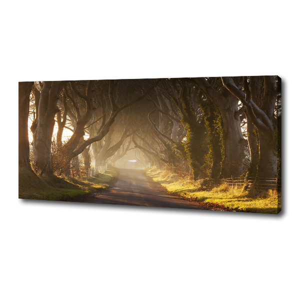 Wandbild Nebel im Wald