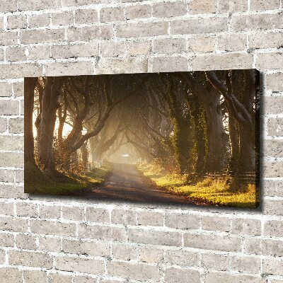 Wandbild Nebel im Wald