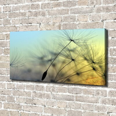 Fotobild Löwenzahnsamen