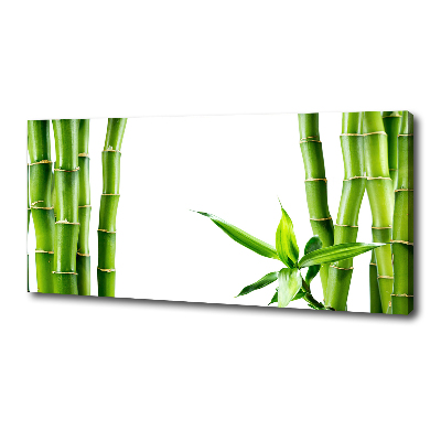 Fotobild Bambus