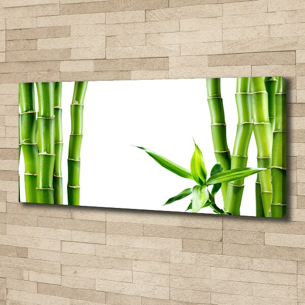 Fotobild Bambus
