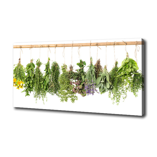 Fotobild Kräuter an einer Schnur