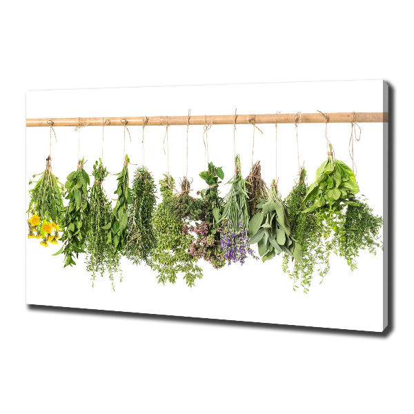 Fotobild Kräuter an einer Schnur