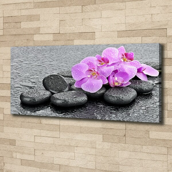 Fotobild Orchideensteine