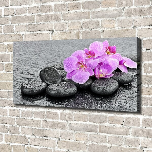 Fotobild Orchideensteine