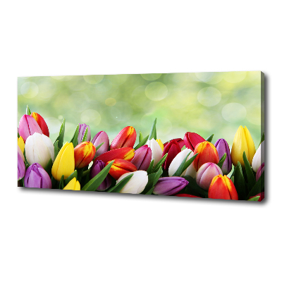 Bild auf leinwand Bunte Tulpen