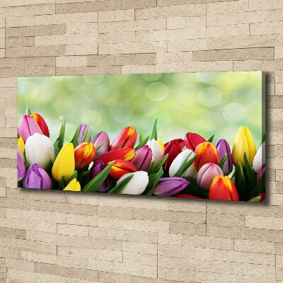 Bild auf leinwand Bunte Tulpen
