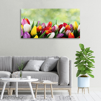 Bild auf leinwand Bunte Tulpen