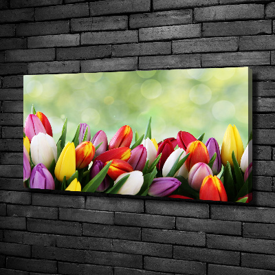 Bild auf leinwand Bunte Tulpen