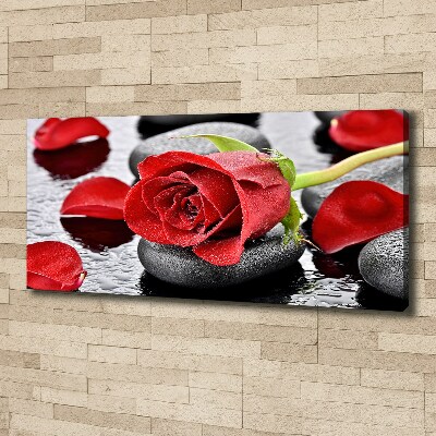 Wandbild Rote Rose