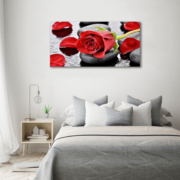 Wandbild Rote Rose