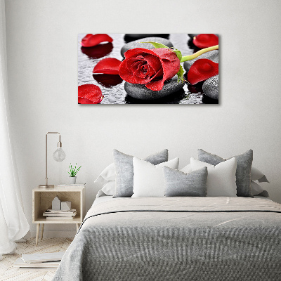 Wandbild Rote Rose