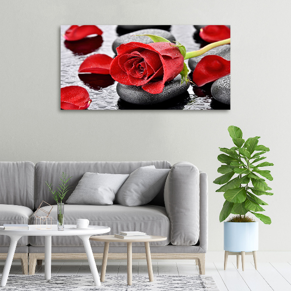 Wandbild Rote Rose