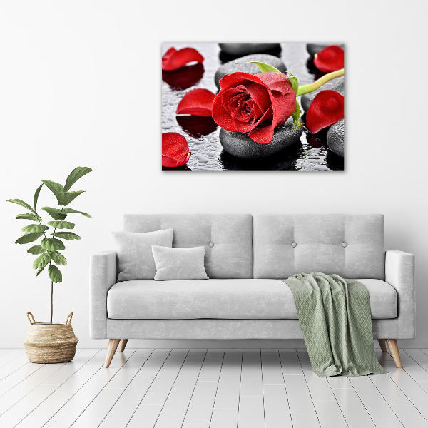 Wandbild Rote Rose