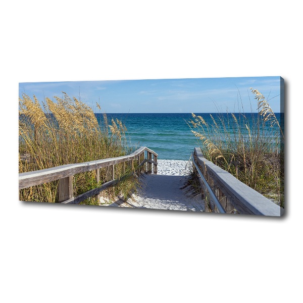 Fotobild Küstendünen