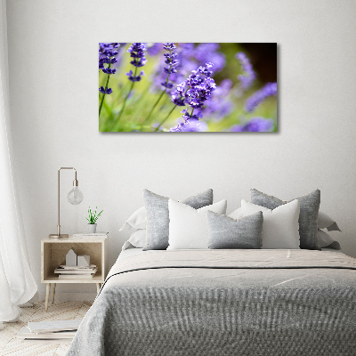 Wandbild Lavendel