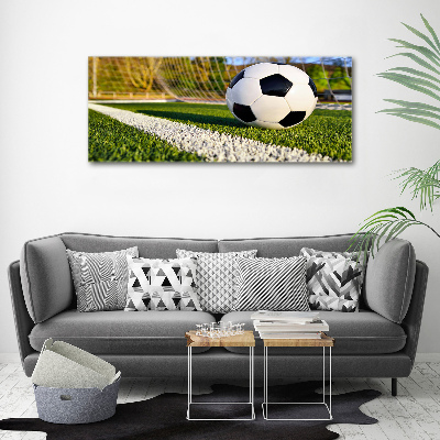 Bild auf leinwand Der Ball ist im Tor