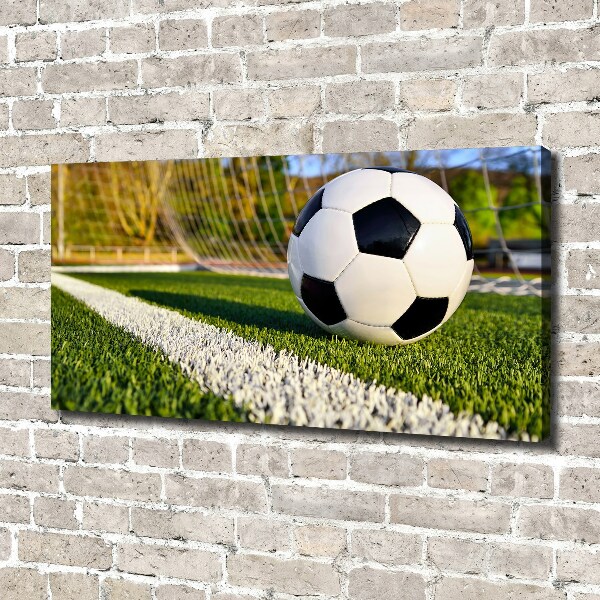 Bild auf leinwand Der Ball ist im Tor