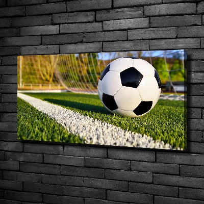 Bild auf leinwand Der Ball ist im Tor