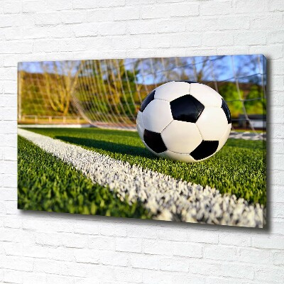 Bild auf leinwand Der Ball ist im Tor