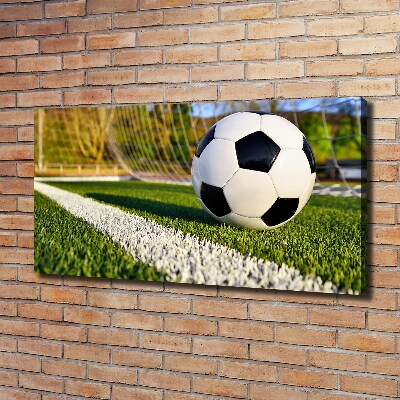 Bild auf leinwand Der Ball ist im Tor