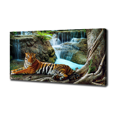 Fotobild Tigerwasserfall