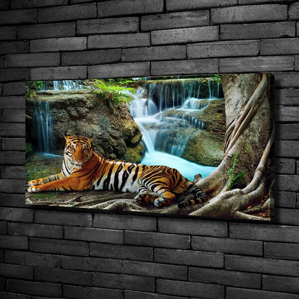 Fotobild Tigerwasserfall