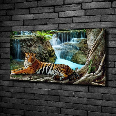 Fotobild Tigerwasserfall