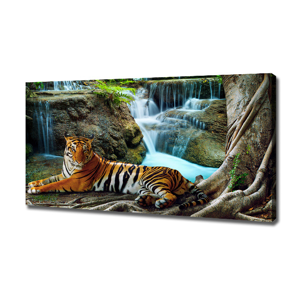 Fotobild Tigerwasserfall