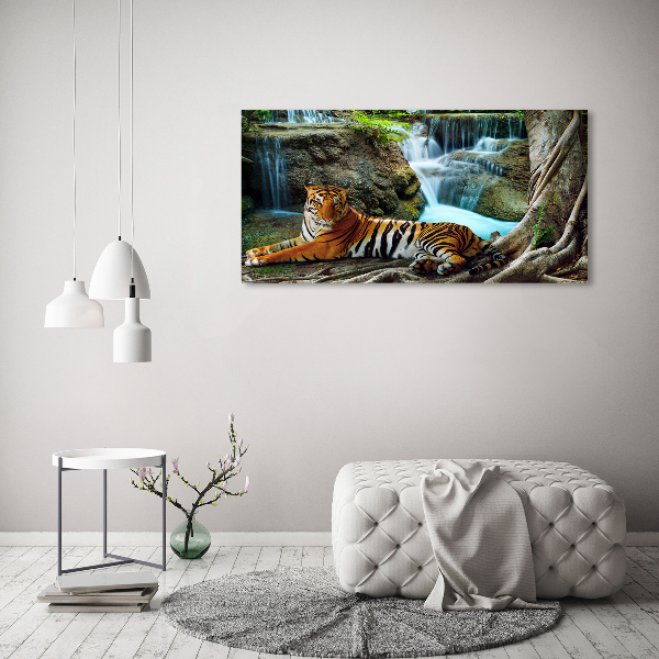 Fotobild Tigerwasserfall