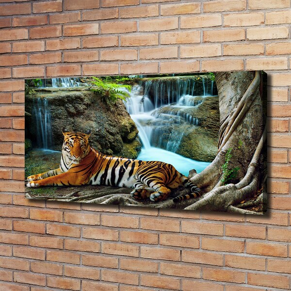 Fotobild Tigerwasserfall