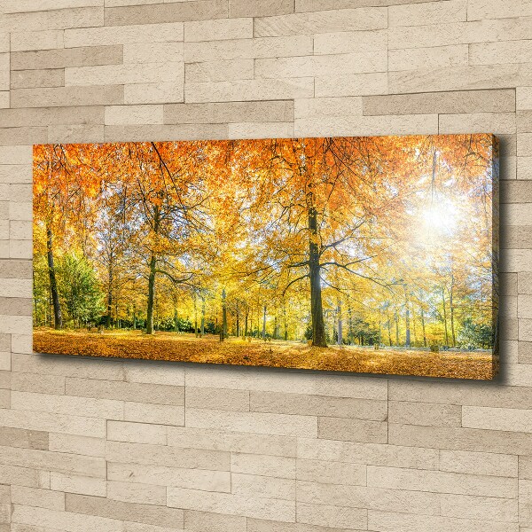 Bild auf leinwand Wald im Herbst