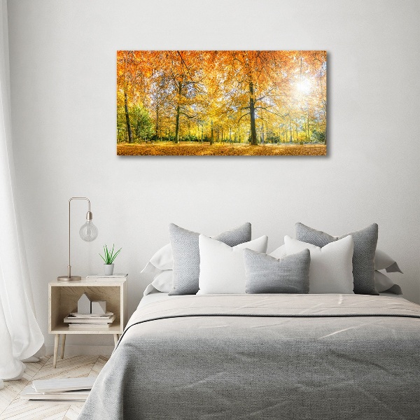 Bild auf leinwand Wald im Herbst