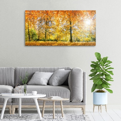 Bild auf leinwand Wald im Herbst
