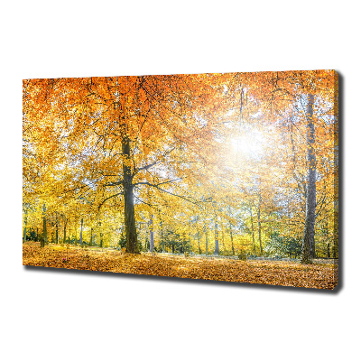 Bild auf leinwand Wald im Herbst