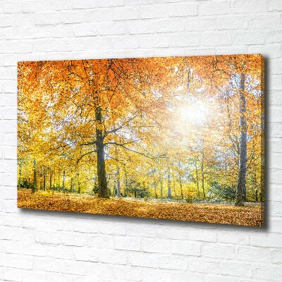 Bild auf leinwand Wald im Herbst