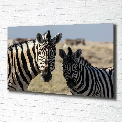 Bild auf leinwand Zwei Zebras