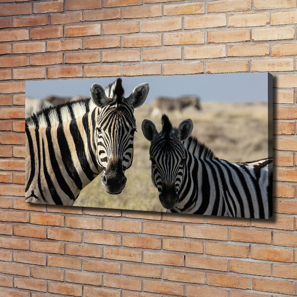 Bild auf leinwand Zwei Zebras