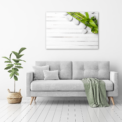 Bild auf leinwand Bambus