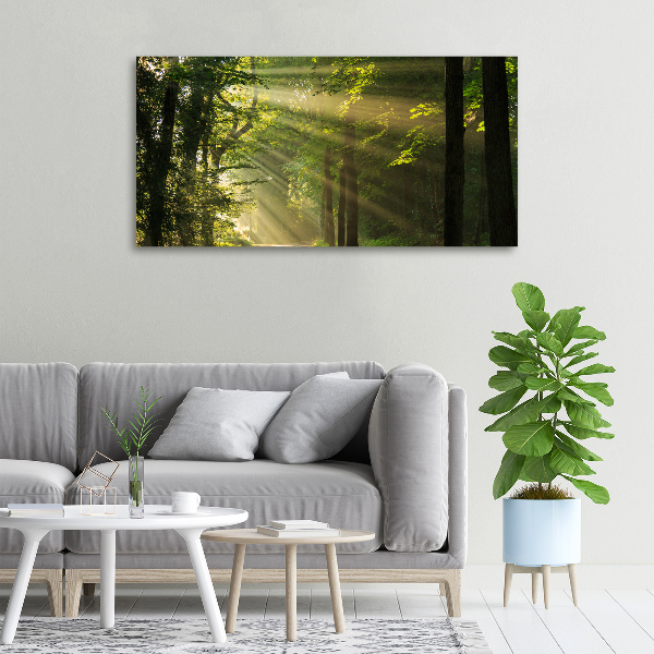 Bild auf leinwand Wald in der Sonne