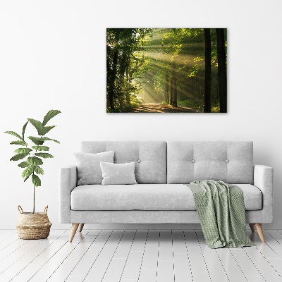 Bild auf leinwand Wald in der Sonne