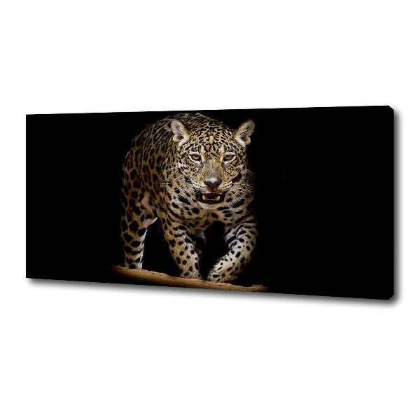 Fotobild Jaguar